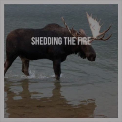 Shedding The Fire