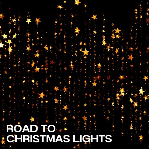 Road to Christmas Lights