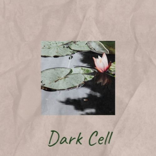 Dark Cell