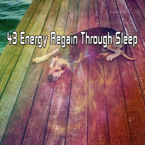 43 Energy Regain Through Sleep