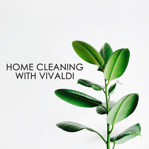 Home cleaning with Vivaldi