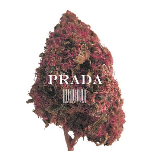 Prada (Explicit)