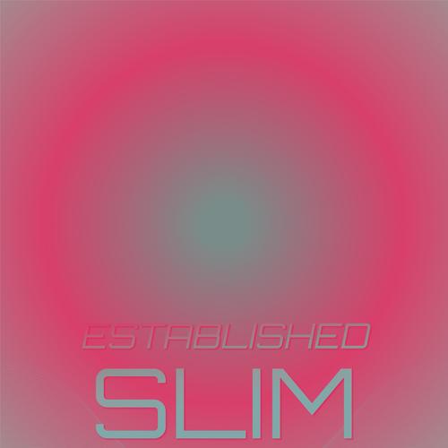 Established Slim