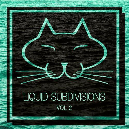 Liquid Subdivisions, Vol. 2