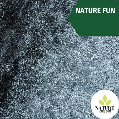 Nature Fun