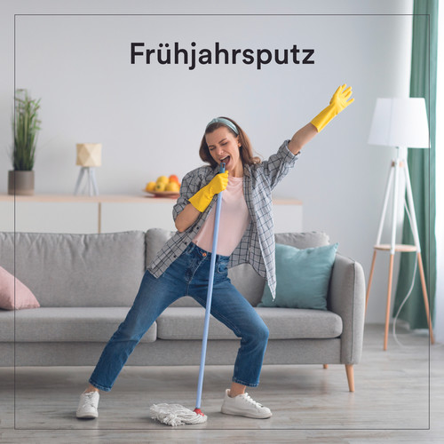 Frühjahrsputz (Explicit)