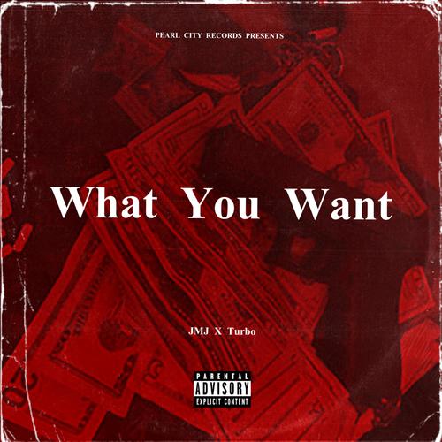 What You Want (feat. Turbo309) [Explicit]