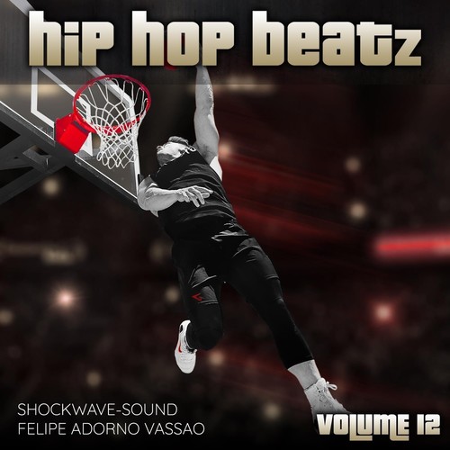 Hip Hop Beatz, Vol. 12