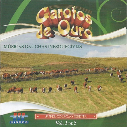 Músicas Gaúchas Inesquecíveis, Vol. 3