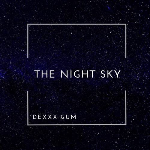 The Night Sky