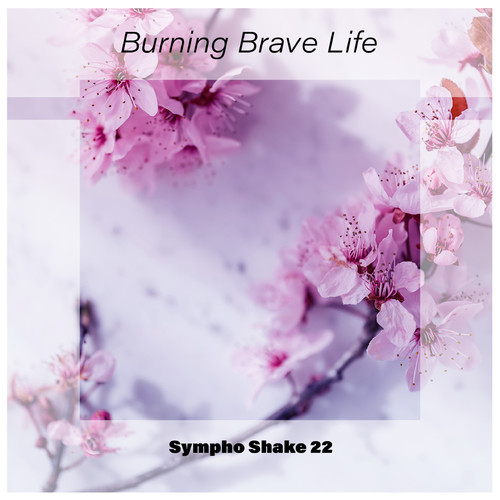 Burning Brave Life Sympho Shake 22