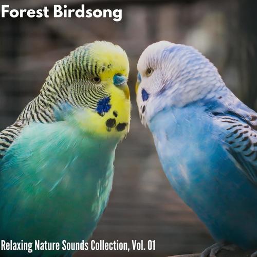 Forest Birdsong - Relaxing Nature Sounds Collection, Vol. 01