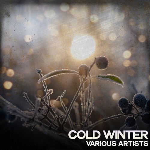 Cold Winter