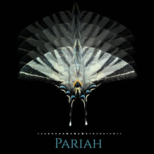 Pariah