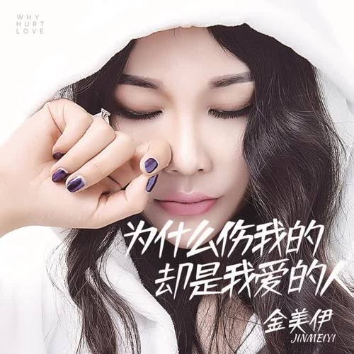 为什么伤我的却是我爱的人(djcandy版伴奏)_金美伊