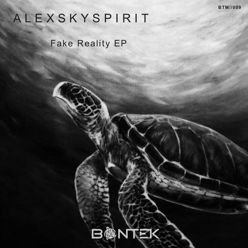 Fake Reality EP