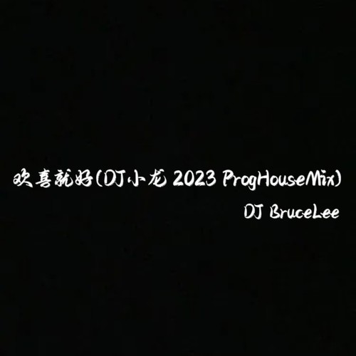 欢喜就好(DJ小龙 2023 ProgHouseMix)
