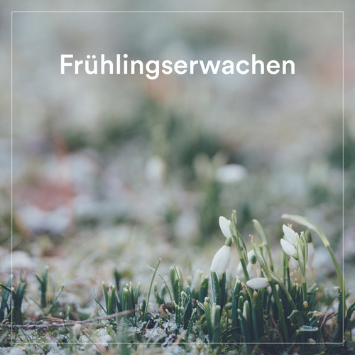 Frühlingserwachen (Explicit)