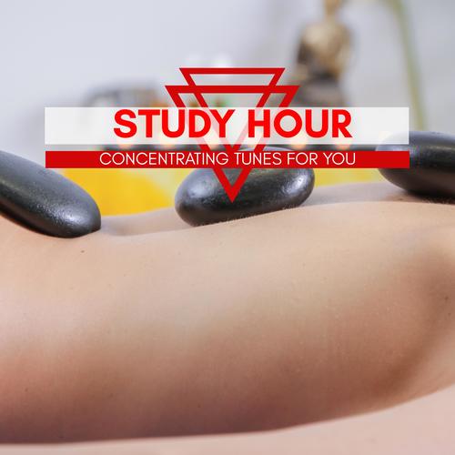 Study Hour - Concentrating Tunes For You