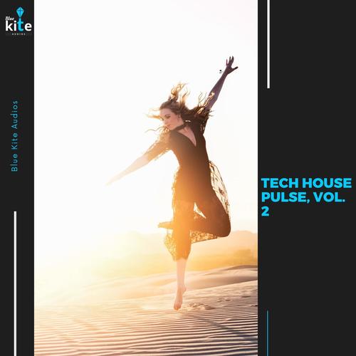 Tech House Pulse, Vol. 2