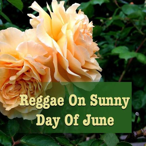 Reggae On Sunny Day Of June