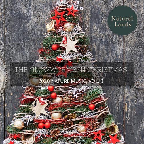 The Glowworms in Christmas - 2020 Nature Music, Vol. 3