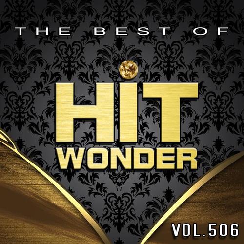 Hit Wonder: The Best of, Vol. 506