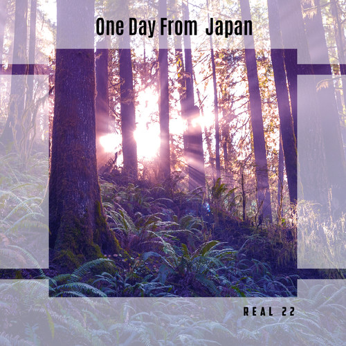 One Day From Japan Real 22