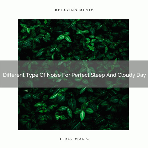 Different Type Of Noise For Perfect Sleep And Cloudy Day