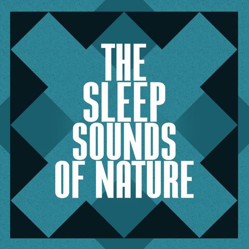 The Sleep Sounds of Nature