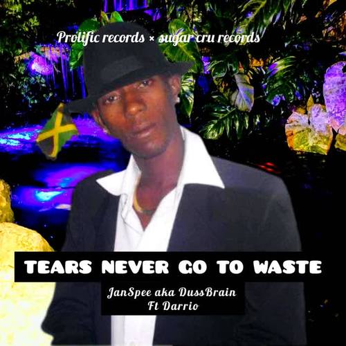 Tears never go to waste (feat. Darrio)