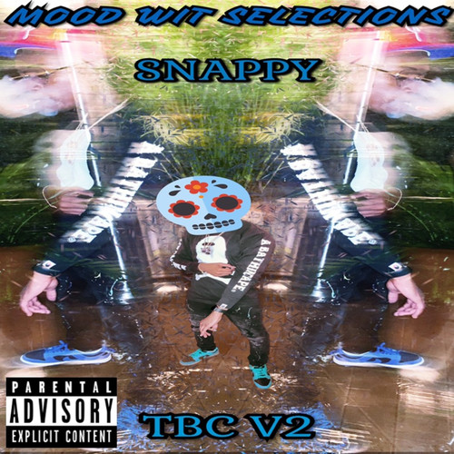 Mood Wit Selections (TBCV2) [Explicit]