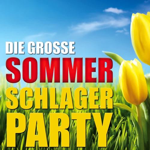 Die große Sommer Schlagerparty