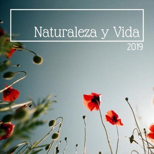 Naturaleza y Vida 2019 - Música Tranquila del Bosque Relajarse y Trabajar o Estudiar sin Estrés