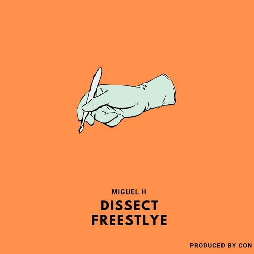 Dissect Freestlye