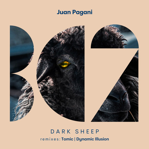 Dark Sheep