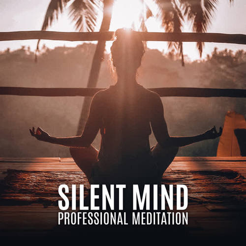 Silent Mind - Professional Meditation