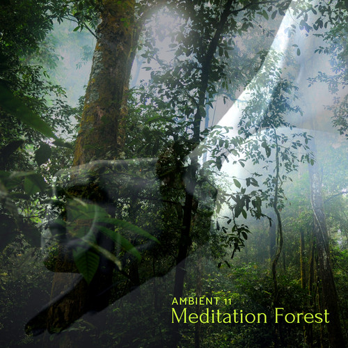 Meditation Forest