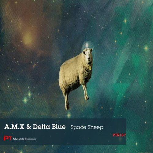 Space Sheep