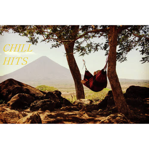 Pop to Chillout to (Explicit)