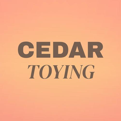 Cedar Toying