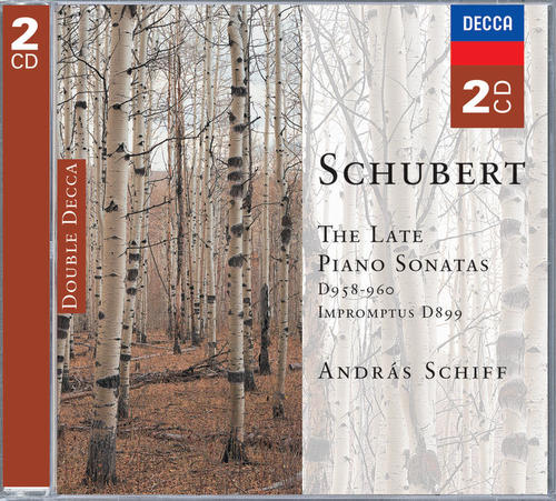 Schubert: The Late Piano Sonatas