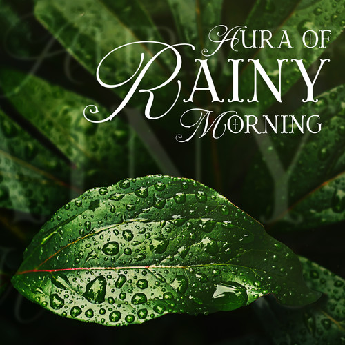 Aura of Rainy Morning: Calm and Relax with Peaceful Rain