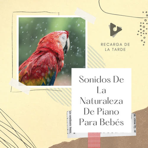 Sonidos De La Naturaleza De Piano Para Bebés