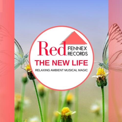 The New Life - Relaxing Ambient Musical Magic