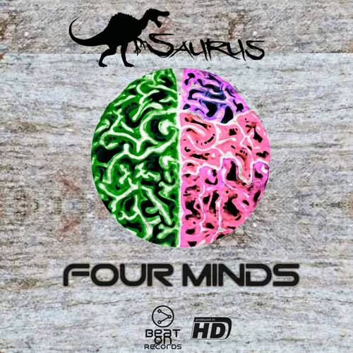 Four Minds