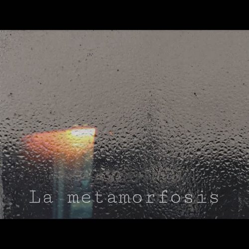 La Metamorfosis