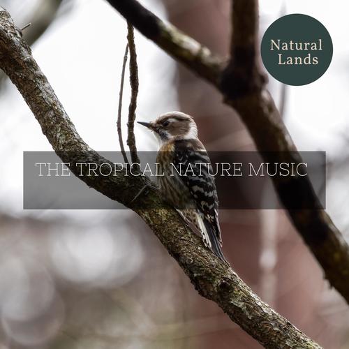 The Tropical Nature Music
