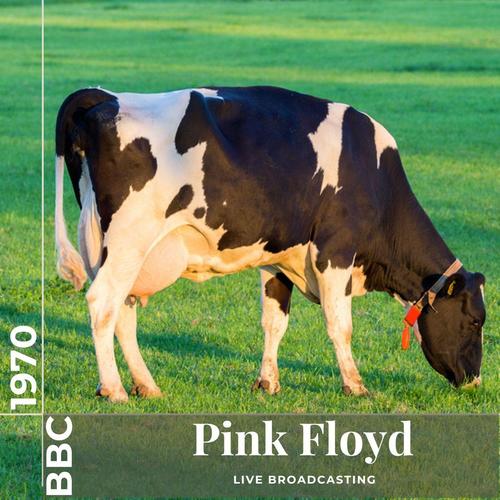 Pink Floyd: Live at BBC 1970 (Live)