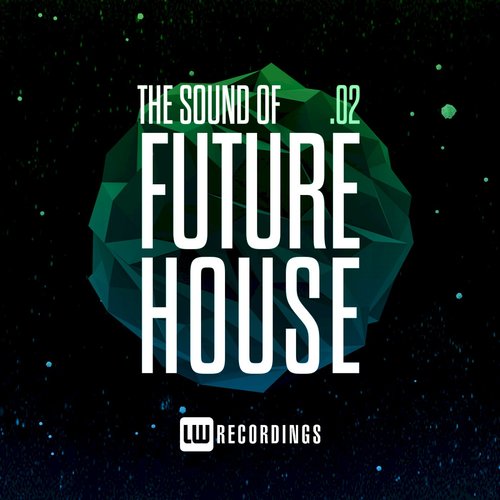 The Sound Of Future House, Vol. 02